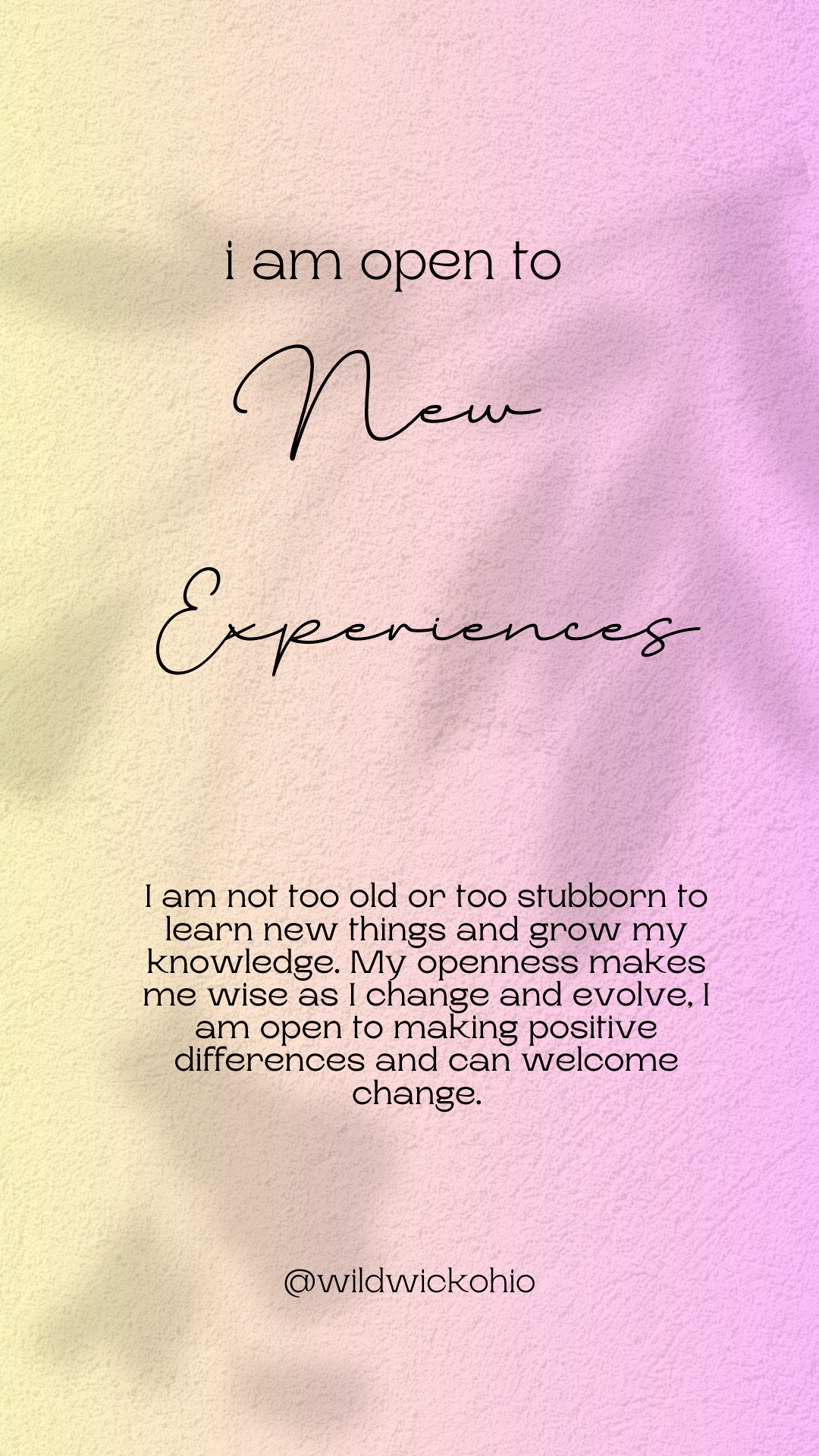 I am open to new&nbsp;experiences